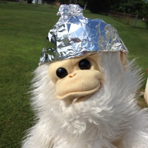 foil hat