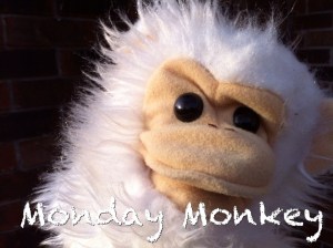 monday monkey